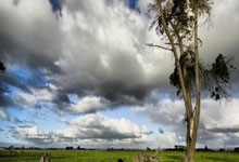 3年3900万!勇士提前续约穆迪 季前赛表现亮眼.