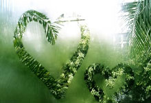 尊龙凯时体育:2025年国际篮联U19男篮世界杯小组抽签结果出炉.